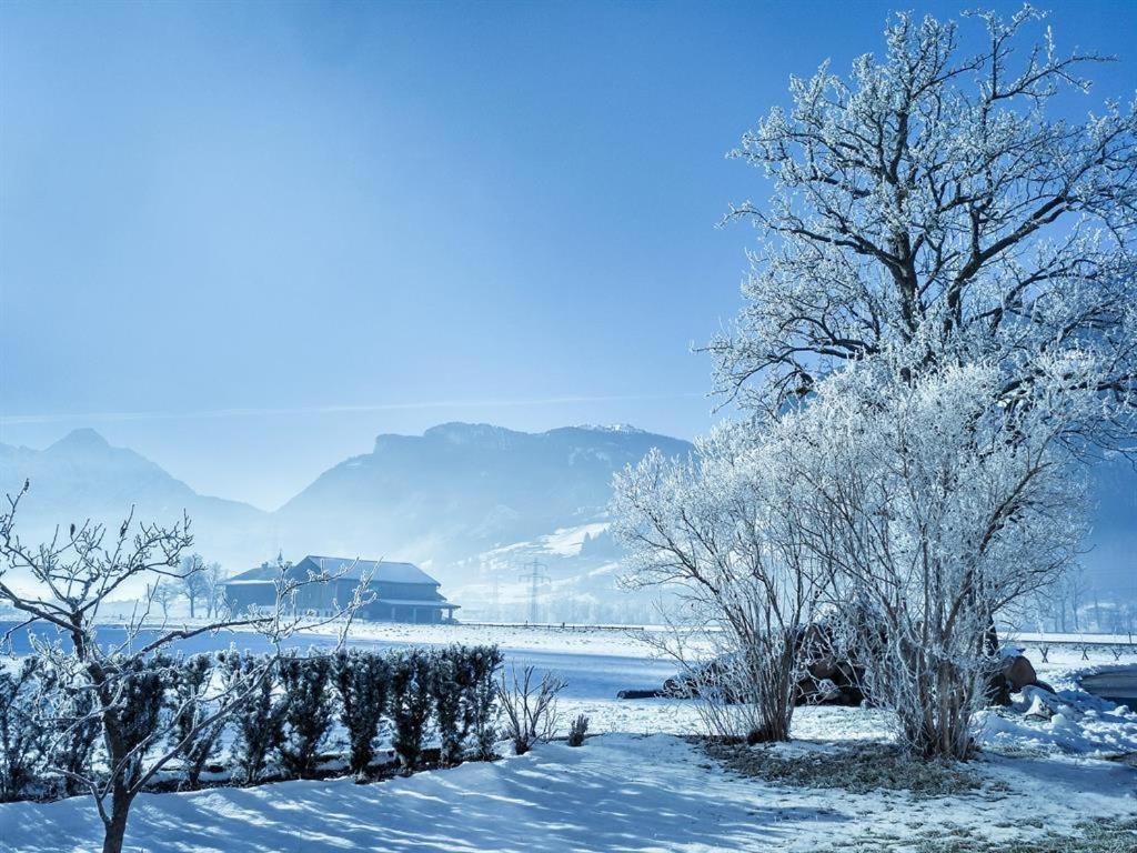 Gaestehaus Hauser Хайнценберг Екстериор снимка